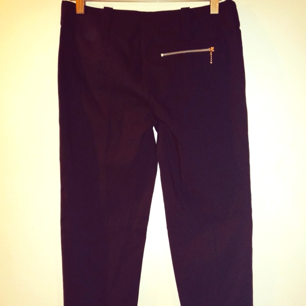 Loft by Ann Taylor ankle pants size 10